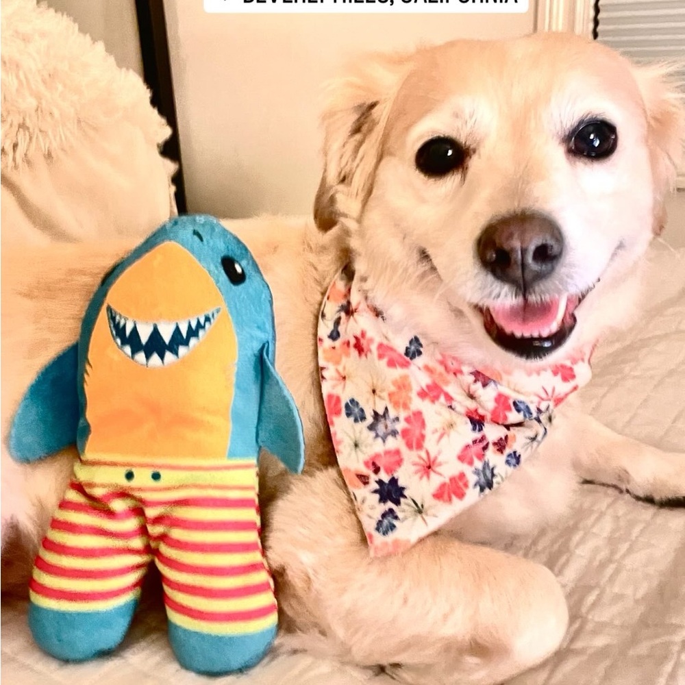 Tala + Shark Say Happy Easter Dnb Dior Girlydior Pink #2
